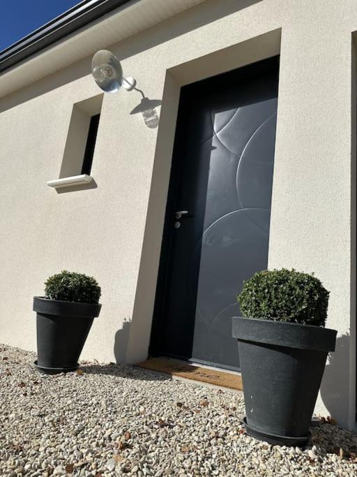 * Domaine De La Solaie * - Proche Bords De Loire Villa Saint-Denis-de lʼHôtel Dış mekan fotoğraf